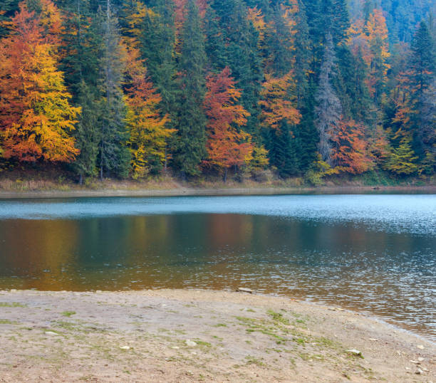 istock Lake Synevyr autumn view. 986747224