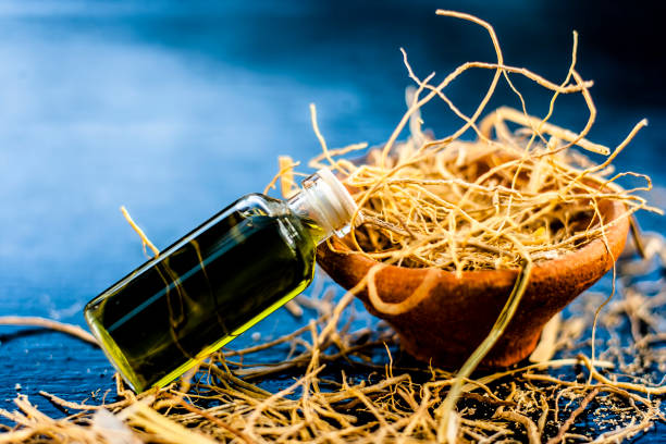 Floral and ayurvedic essence of herb Vetiver grass or Khus in a transparent bottle used in many beverages of Indian and Asia with dried vetiver grass in a clay bowl on black surface.; stock photo