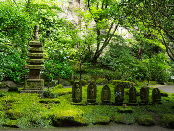 istock Bamboo Forest in Japan - a wonderful place for recreation 986752436