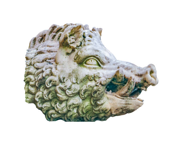istock Wild Pig Head Sculpture Isolated Photo 986753884