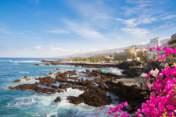 istock Puerto de la Cruz, Tenerife 986758684