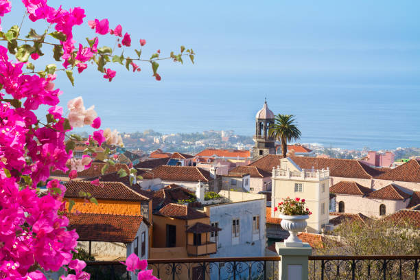 skyline  of Orotava, Tenerif