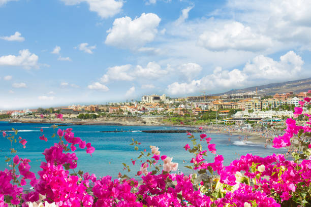 istock Playa Las Americas, Tenerife, Spain 986772354