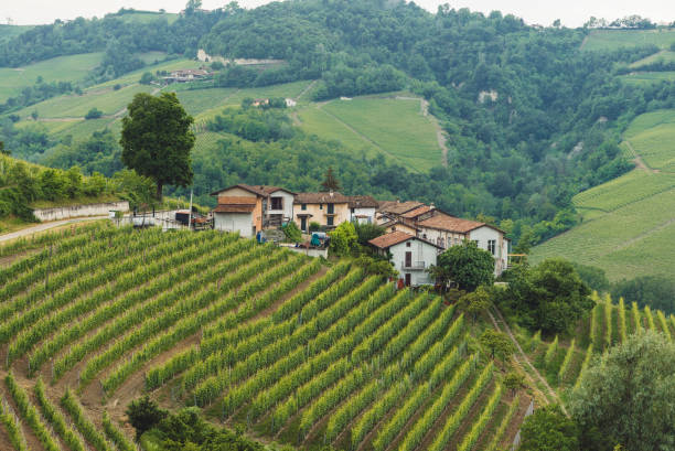 istock Italy wine country small town 986822298