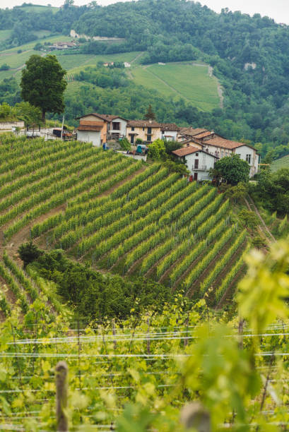 istock Italy wine country small town 986822402