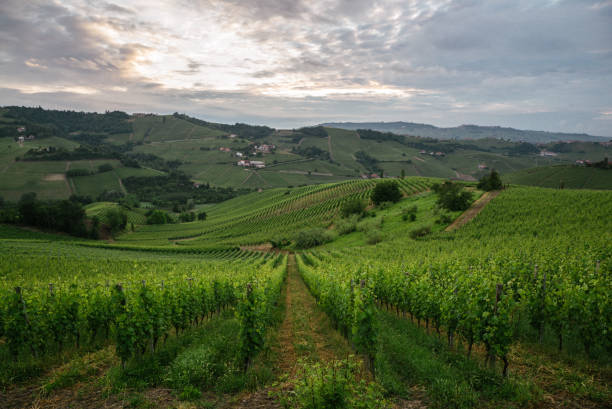 Italy wine country small town stock photo