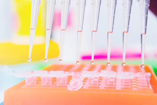 istock science 8 chanel pipette with drops of DNA Sample over laboratory test tubes. Science and medical background and laboratory supplies 986823752
