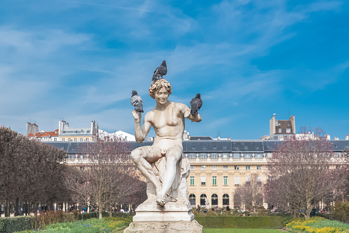 Paris, gardens of Palais Royal, public garden, birds put on a statue, spring
