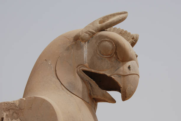 istock Head of Huma, mythical Persian bird 986852172