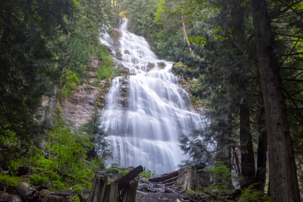 Bridal Veil Falls Provincial Park is located on the Trans-Canada Highway just east of Rosedale, British Columbia, Canada, part of the City of Chilliwack.