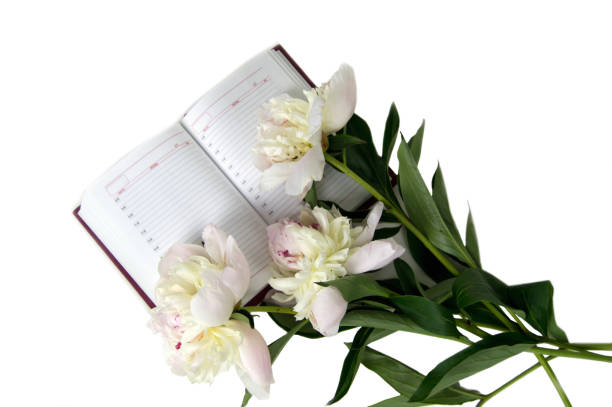 istock white peony flowers and open diary lie on light background 986875780