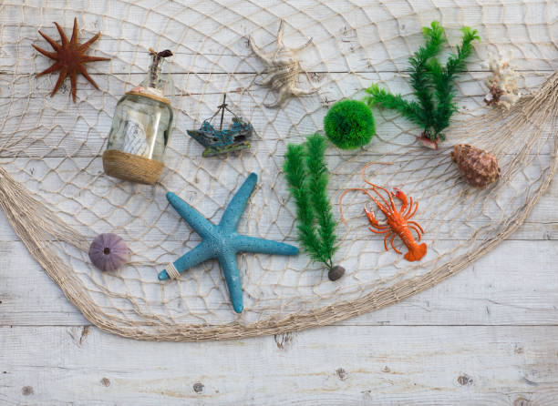 istock letter bottle, fishing net 986883466