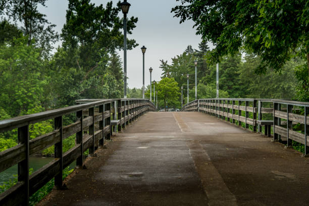 Bridge over the Willamette River Eugene Oregon A foot bridge over the Willamette River in Eugene Oregon. A quiet moment with no people on the bridge. Wooden bridge with a bit of sunlight rereflecting off the wood. eugene oregon stock pictures, royalty-free photos & images