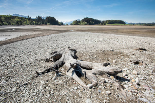 dryness of lake Forggensee in Bavaria