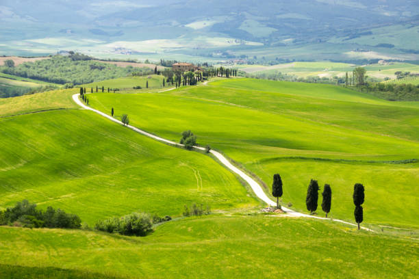 istock hills in Tuscany in Val di Orcia 986920722