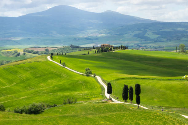 istock hills in Tuscany in Val di Orcia 986920808