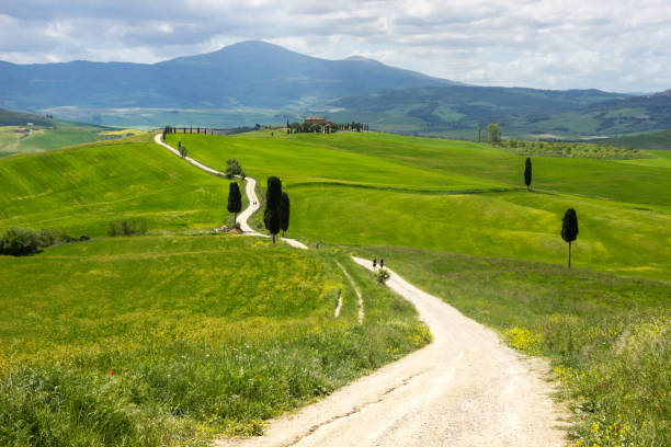istock hills in Tuscany in Val di Orcia 986921046