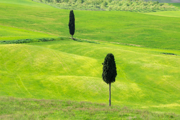 hills in Tuscany in Val di Orcia