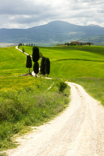 istock hills in Tuscany in Val di Orcia 986921628