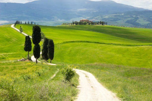 istock hills in Tuscany in Val di Orcia 986921636