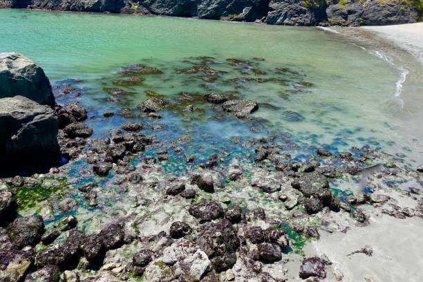 istock Picturesque fishing town with a grotto setting 986960454