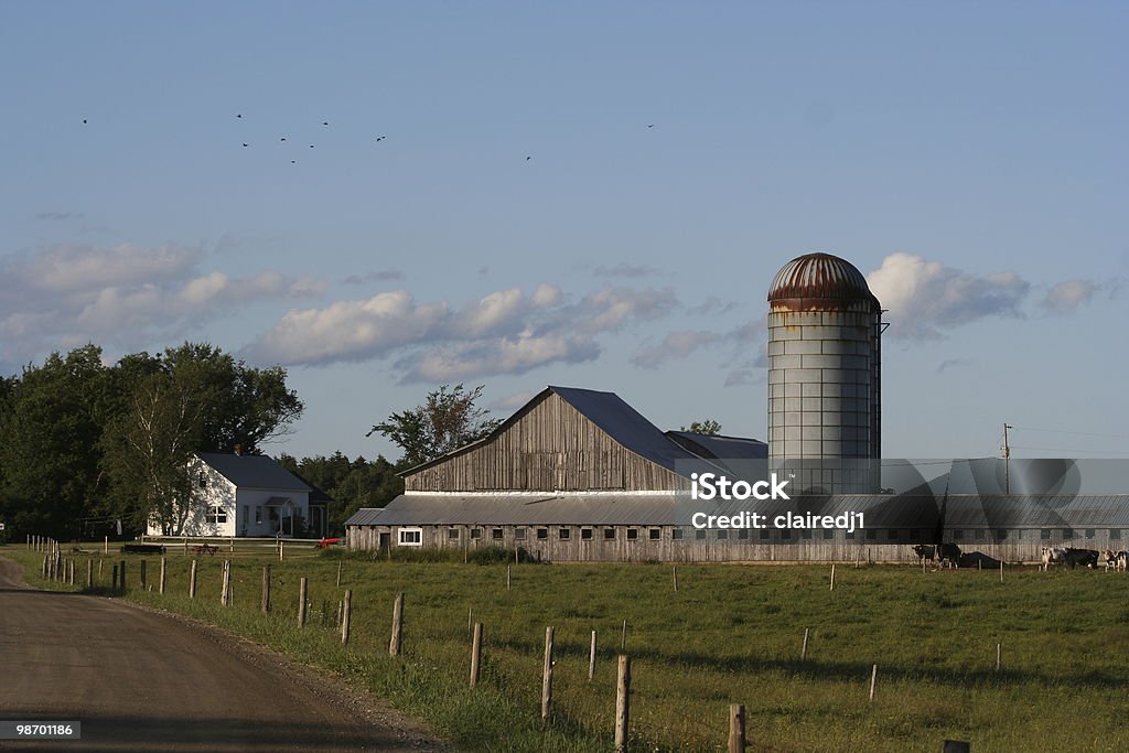 Country Farm - Lizenzfrei Agrarbetrieb Stock-Foto