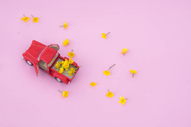 istock A red retro car with yellow flowers on a pink background 987011866