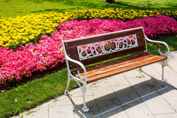 istock Bench and flowerbed in public park 987011948