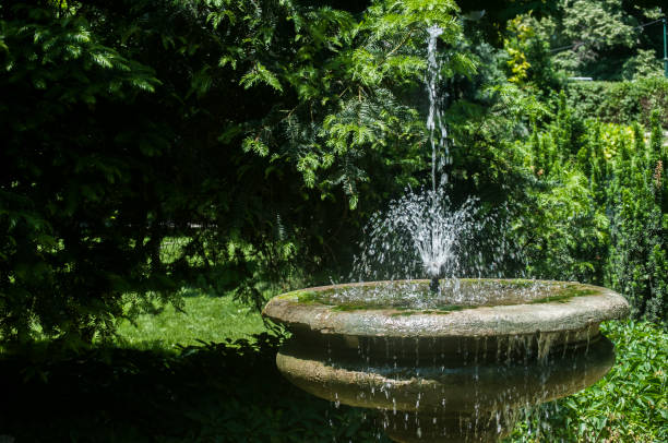 istock Beautiful old park fountain 987013084