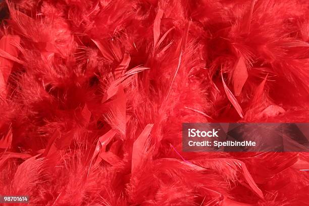 Boa De Fondo Rojo Foto de stock y más banco de imágenes de Bufanda de plumas - Bufanda de plumas, Con textura, Encuadre completo