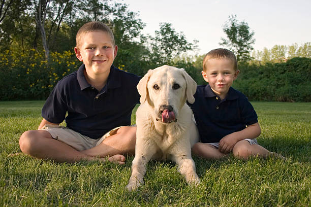 Family Pet stock photo