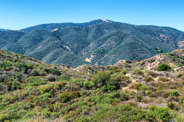 istock Hiking trails across southwest 987054124