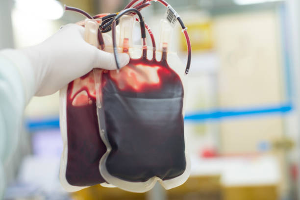 Red blood bag in hand scientist over white background in laboratory. Red blood bag in hand scientist over white background in laboratory. anemia photos stock pictures, royalty-free photos & images