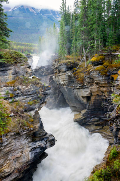Chutes Sunwapta Banque d'images et photos libres de droit iStock