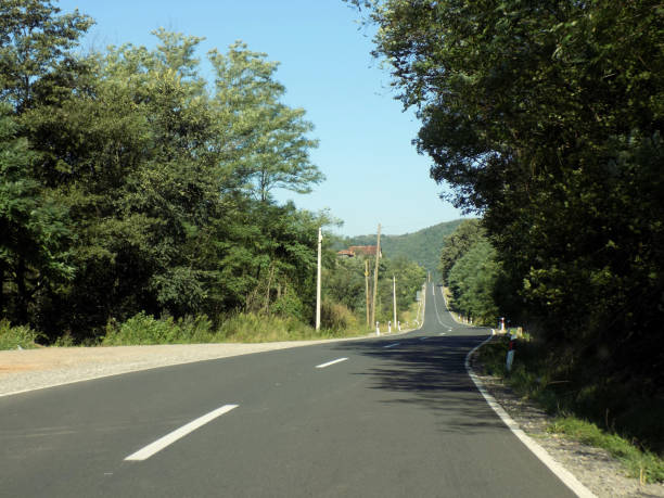 istock Modern road through the forest rises uphill and downhill 987123108