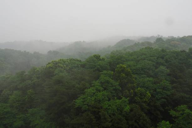 istock The rainy season 987201830