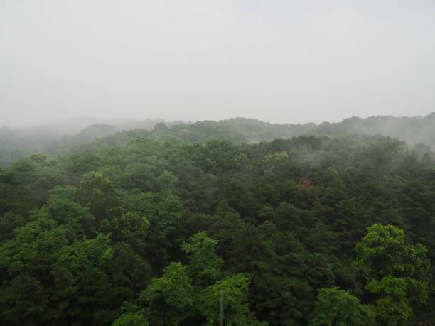 istock The rainy season 987201844