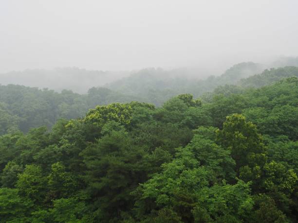 istock The rainy season 987201858