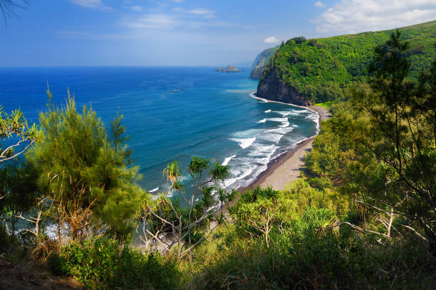 Stunning view of rocky beach of Pololu Valley, Big Island, Hawaii, taken from Pololu trail. Stunning view of rocky beach of Pololu Valley, Big Island, Hawaii, taken from Pololu trail, Hawaii, USA pololu stock pictures, royalty-free photos & images
