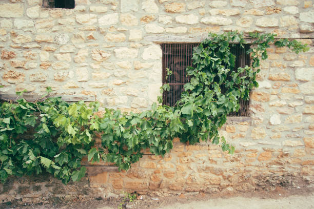Roadtrip in the countryside near Madrid, Burgos, Salas de los Infantes, Casas