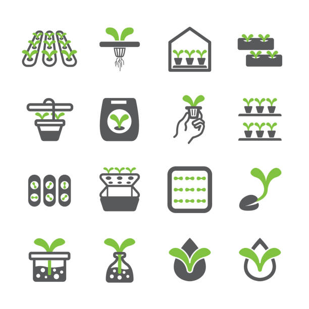 zestaw ikon hydroponicznych - hydroponics stock illustrations