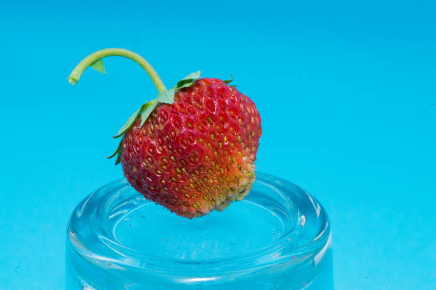 photos of strawberries on a branch, healthy fresh food