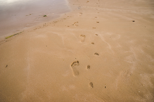 Empty north sea beach with cumulus clouds, footprints in the sand