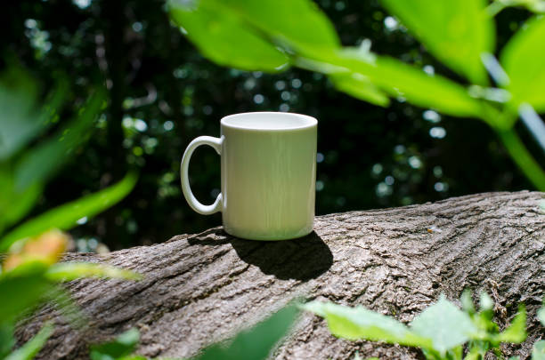 istock A blank white coffee mug in the woods 987268734