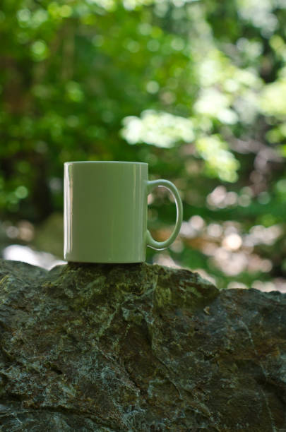 istock A blank white coffee mug in the forest on the stones 987268746