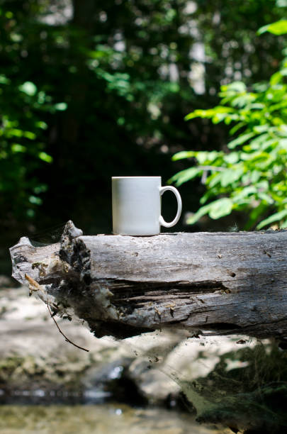 istock A blank white coffee mug on a dead log 987268866