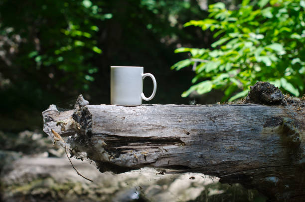 istock A blank white coffee mug in the wooded area 987268980