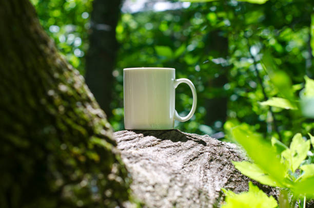 istock A blank white coffee mug in the tree 987269000