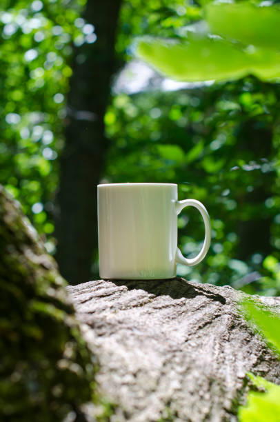 istock A blank white coffee mug in the long forest 987269002