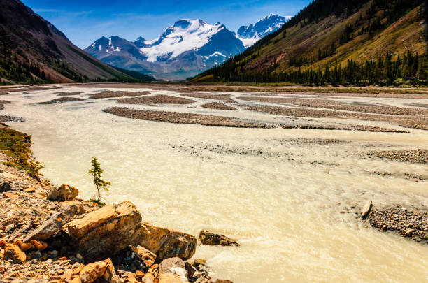 istock Yellow river between the mountains in Banff National Park 987269566